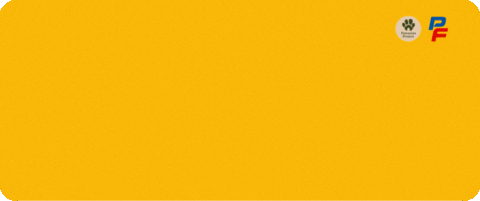 Pawssionproject GIF by Pawssion Project Foundation Inc.