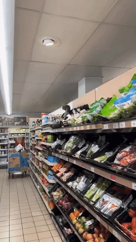 Squirrel Supermarket GIF by Storyful