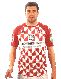 Bundesliga Fans Sticker by 1. FSV Mainz 05