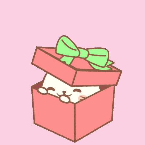 Hộp quà đặc biệt