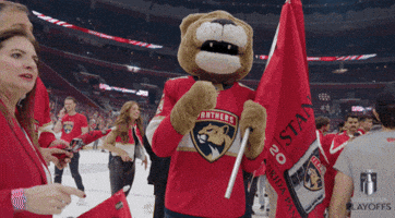 Stanley Cup Playoffs Yes GIF by NHL