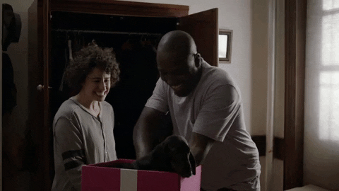 comedy central puppy GIF by Broad City