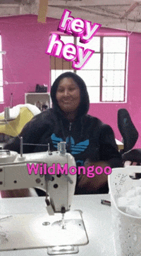 WildMongoosa  GIF