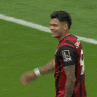 Happy Premier League GIF by AFC Bournemouth
