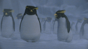 GIF by Sony Pictures Animation