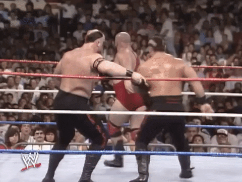 Mr Wonderful Wrestling GIF by WWE