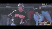 BeaverBaseball baseball oregon state GIF