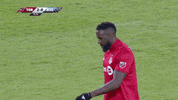 TorontoFC  GIF