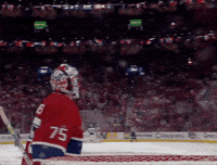 Stanley Cup Hockey GIF