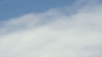 softball scoreboard GIF by CyclonesTV