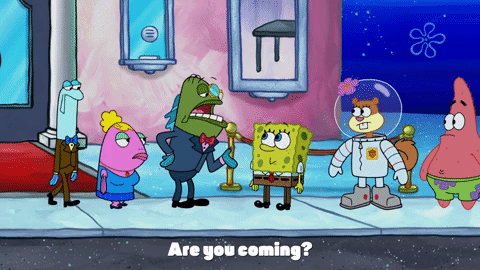season 9 GIF by SpongeBob SquarePants