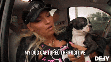 My Dog Captured The Fugitive