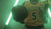 Basketball Bison GIF by NDSU Athletics