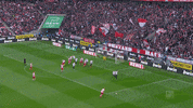 2. bundesliga football GIF by 1. FC Köln