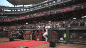 Major League Baseball Sport GIF by MLB