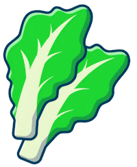 Vegetables Salad Sticker by flaschenpost.de