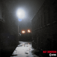 season 6 showtime GIF by Ray Donovan