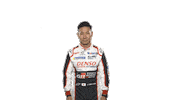 Japan Race Sticker by fiawec