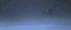 man in the wilderness GIF by Warner Archive