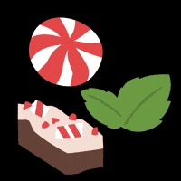 Hint Water Peppermint GIF by Hint