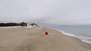 Moving Ultra Music GIF by Ultra Records