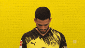 Look Up Borussia Dortmund GIF by Bundesliga