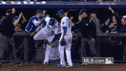 kc GIF by MLB