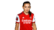 Champions League Football Sticker by Arsenal