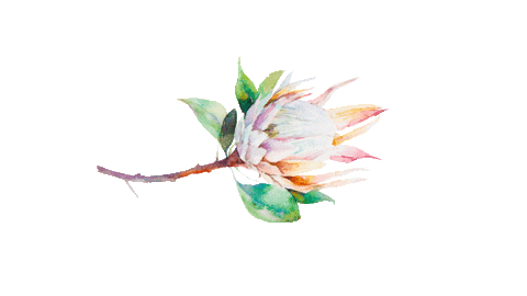 flower icf Sticker by ICFLeipzig