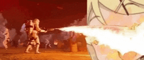 nallcho14 giphyupload GIF