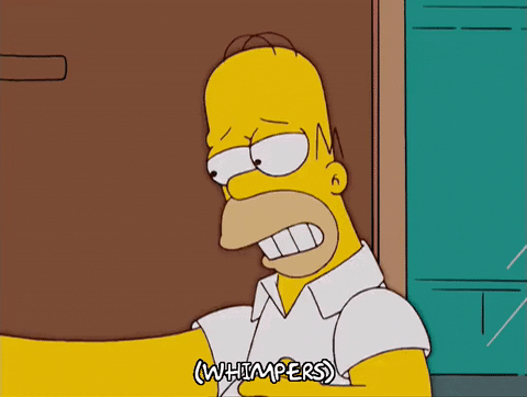 homer simpson GIF