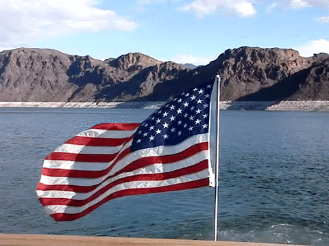United States Flag GIF by DIIMSA Stock
