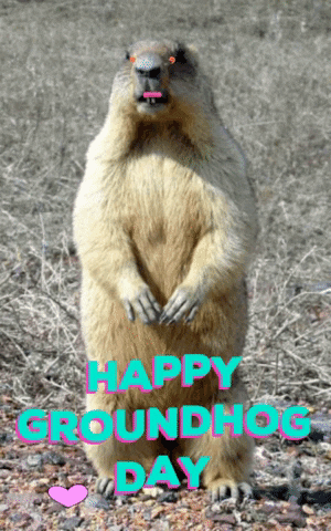 groundhog day GIF by Justin