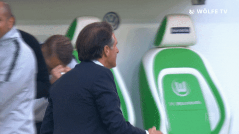 football soccer GIF by VfL Wolfsburg