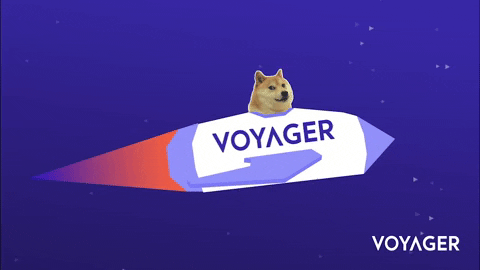 InvestVoyager giphyupload GIF