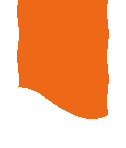 Orange Flag Sticker by aquaplussprinklersytemen