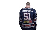 Ice Hockey Sticker by Fehervar AV19