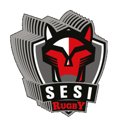 Sesispesporte Sticker by Sesi São Paulo