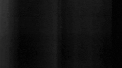 Football Sport GIF by SK Sturm Graz