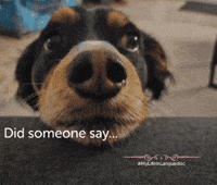 Cheers Celebrate GIF by ChangeForChange