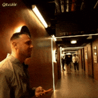 Brothers What GIF