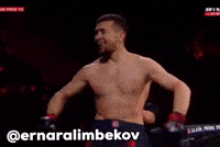 Ufc Mma GIF