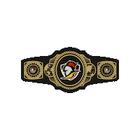 knightsjrc belt knights jr c Sticker