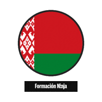 Flag Bandera Sticker by Formación Ninja