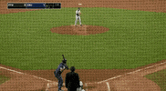 Justin Miller Baseball GIF by Purdue Fort Wayne Athletics