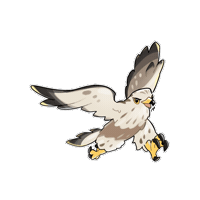 Rough-Legged Hawk Bird Sticker