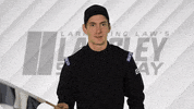 LangleySpeedway  GIF