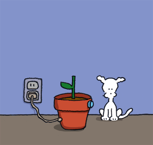 i love you dogs GIF by Chippy the dog