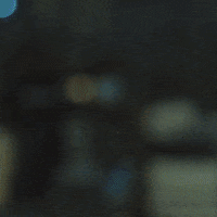 GIF by Eccho Rights