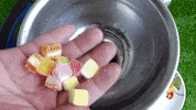 ExperimenMeatGrinder funny satisfying meat underground GIF